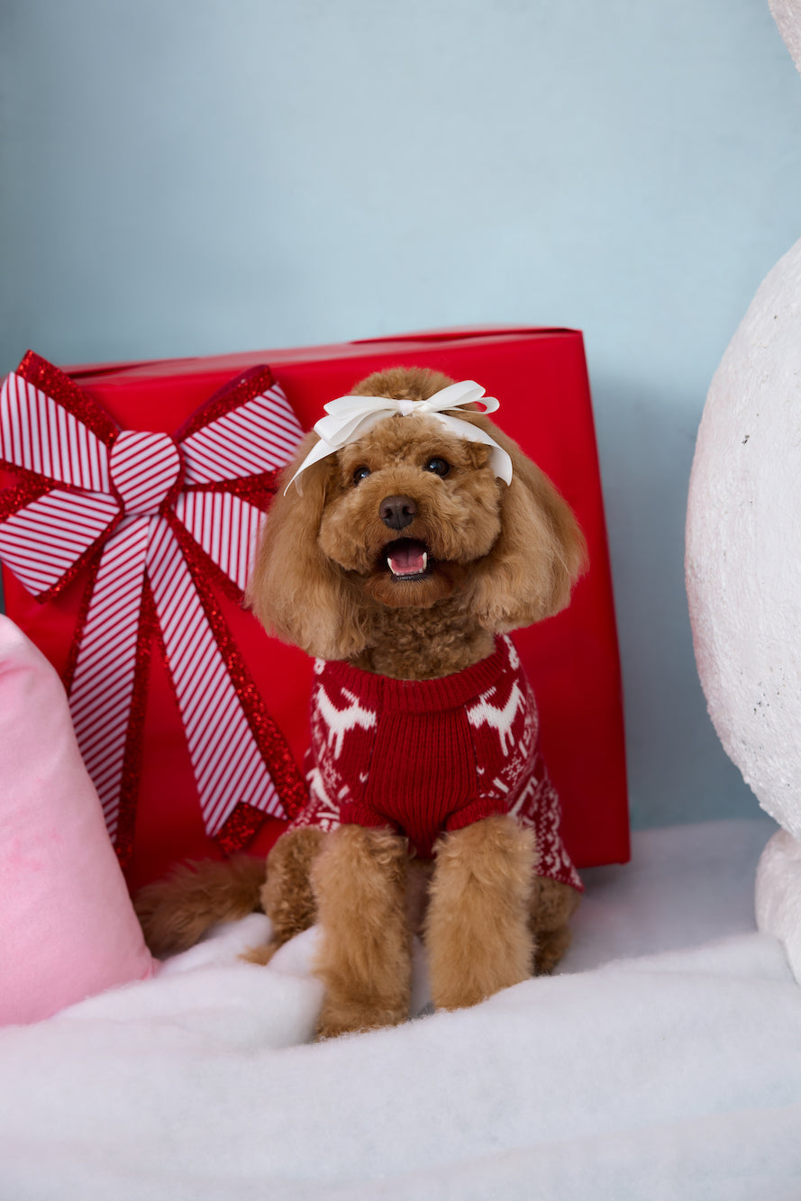 Reindeer Paws Dog Knit Sweater Burgundy